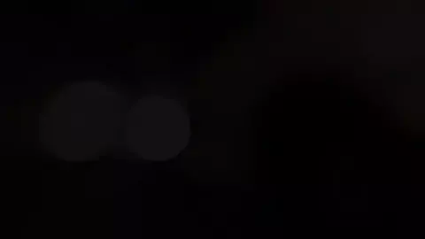 ShisaMK4/シサのTikTok投稿