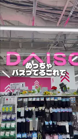 しいちゃまのTikTok投稿
