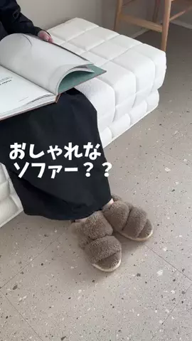 p.taroo🦝🐈のTikTok投稿