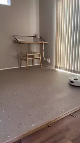 p.taroo🦝🐈のTikTok投稿
