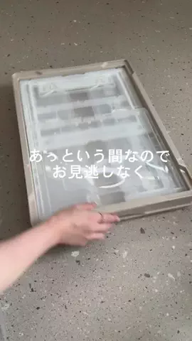 p.taroo🦝🐈のTikTok投稿
