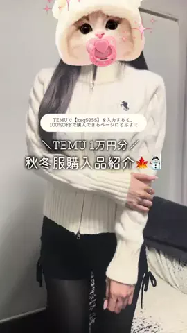 いぬすいのTikTok投稿