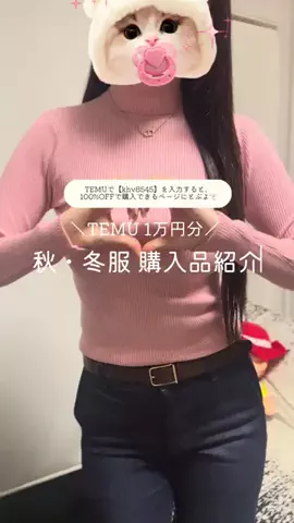 いぬすいのTikTok投稿