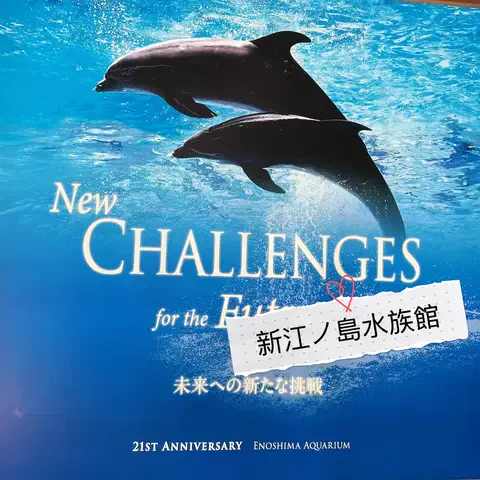 くれ𖨆のくぅねるあそぶのTikTok投稿