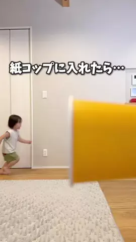 しゃちのTikTok投稿