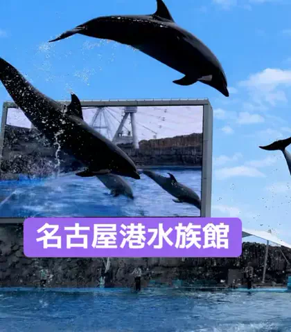 たか❥︎:❥︎🔫のTikTok PR投稿：#GW国内旅行キャンペーン #PR #TikTokGO #水族館