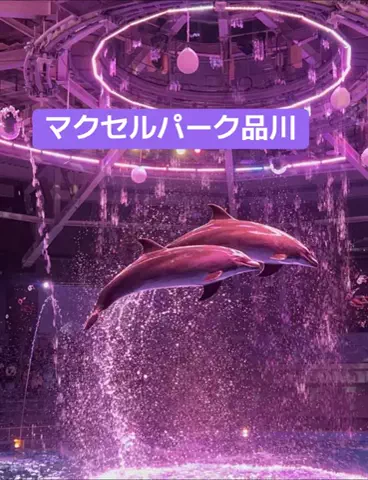 たか❥︎:❥︎🔫のTikTok PR投稿：#GW国内旅行キャンペーン #PR #TikTokGO #水族館