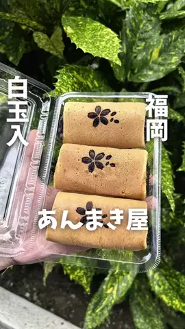 まさきグルメのTikTok投稿