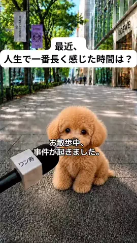 犬猫総合製薬株式会社のTikTok投稿