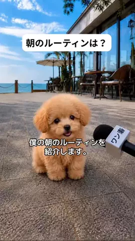 犬猫総合製薬株式会社のTikTok投稿