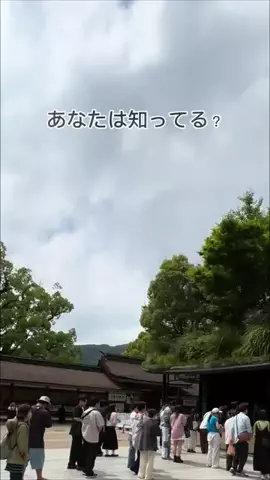 バァバの暮らし術のTikTok投稿