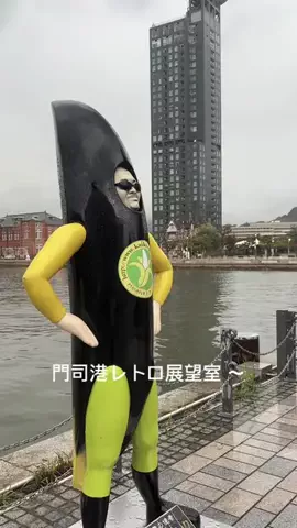 バァバの暮らし術のTikTok投稿