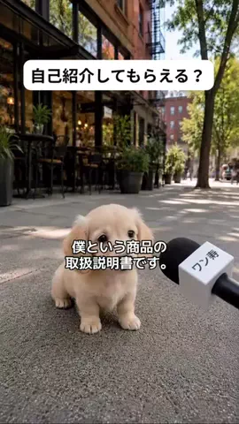 犬猫総合製薬株式会社のTikTok投稿