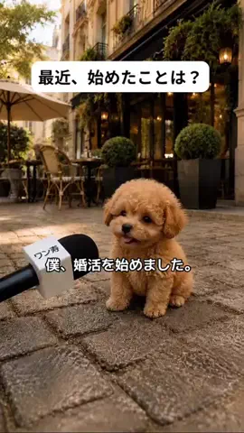 犬猫総合製薬株式会社のTikTok投稿