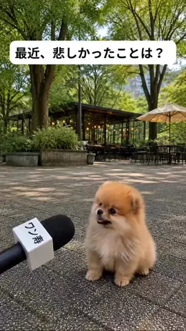犬猫総合製薬株式会社のTikTok投稿