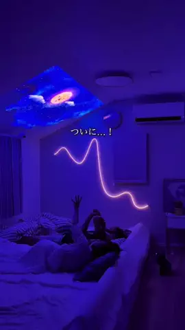 hinagi_homeのTikTok投稿