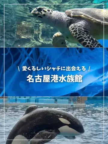 miのTikTok投稿