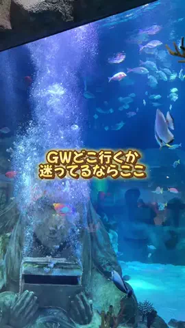 あるママのTikTok投稿
