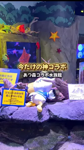 あるママのTikTok投稿