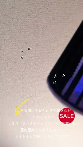 みな姉🪿🦋@あいの里のTikTok投稿