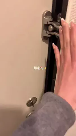 ShironのTikTok投稿