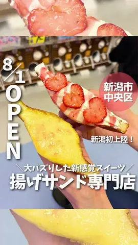 もぐもぐ新潟のTikTok投稿