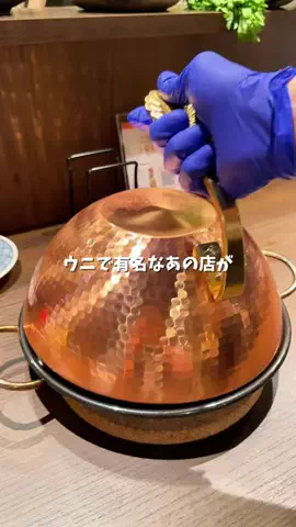 道産子MAYU旅日記のTikTok投稿