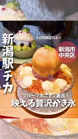 もぐもぐ新潟のTikTok投稿