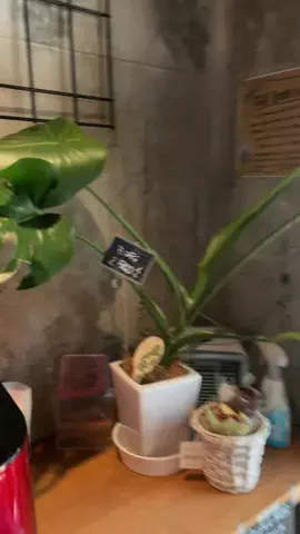 えりたま　あっちゃこちゃの万華鏡のTikTok投稿