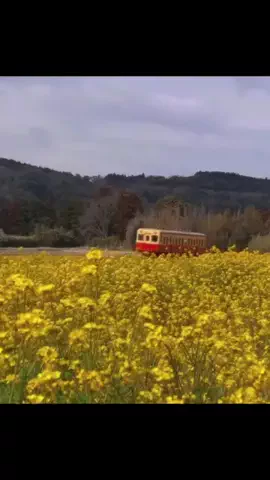 そら 🫧ྀིのTikTok投稿