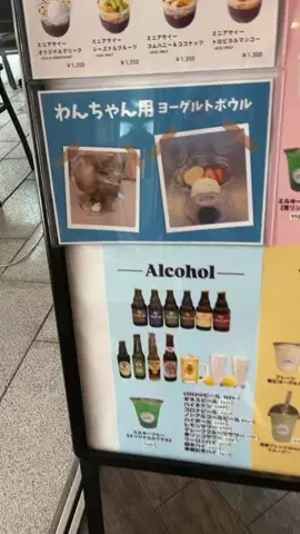 えりたま　あっちゃこちゃの万華鏡のTikTok投稿