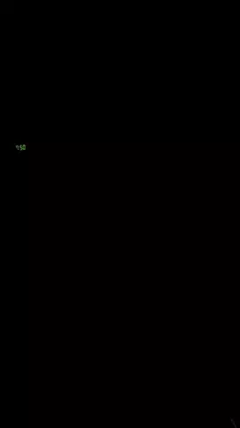 こうきのTikTok投稿