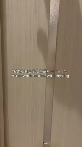 alo.lifestyle18のTikTok投稿