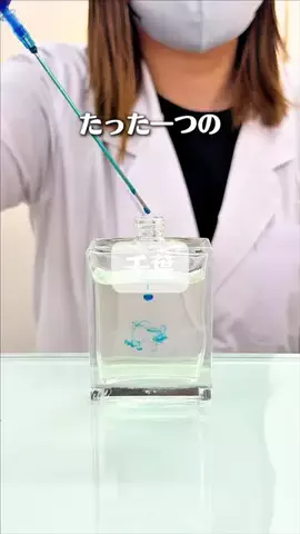 れい| 千葉グルメ&おでかけのTikTok投稿