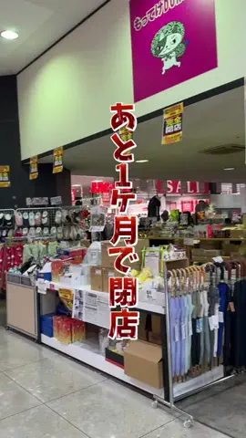とろちゃん＊和歌山映え探しのTikTok投稿