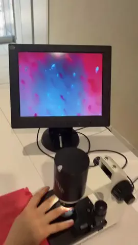 シェア🎀トレンドのTikTok投稿