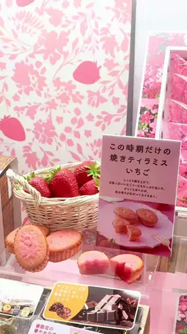 シェア🎀トレンドのTikTok投稿