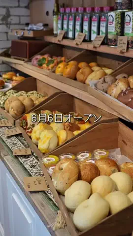 ソルティー 関西グルメのTikTok投稿