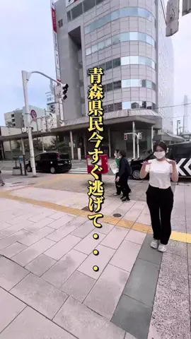 青森情報局 |青森をバズらせる総合メディアのTikTok投稿