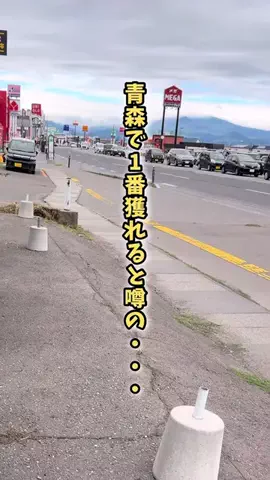 青森情報局 |青森をバズらせる総合メディアのTikTok投稿