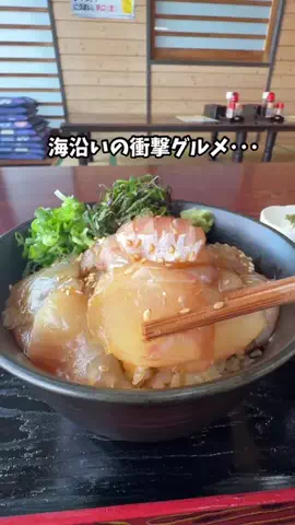 青森情報局 |青森をバズらせる総合メディアのTikTok投稿