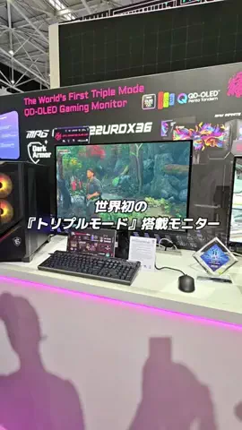はる缶のTikTok投稿