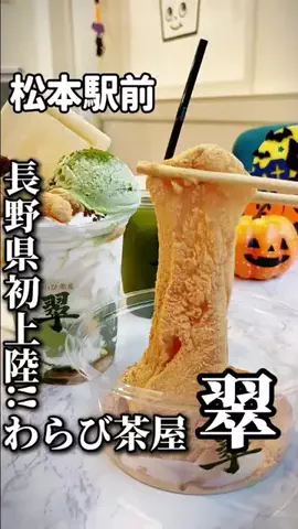 オヤジ飯🐱長野グルメ食べ歩きのTikTok投稿