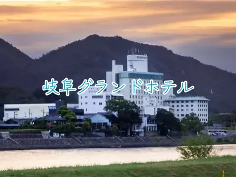 めしけしきのTikTok投稿