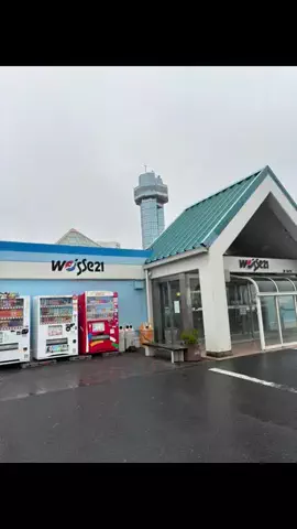 めしけしきのTikTok投稿