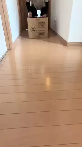 momo..のTikTok投稿
