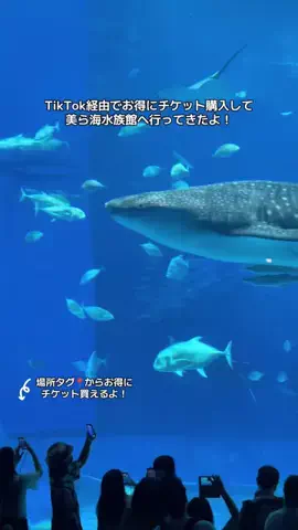 ASUKA_旅のガイドブックのTikTok投稿