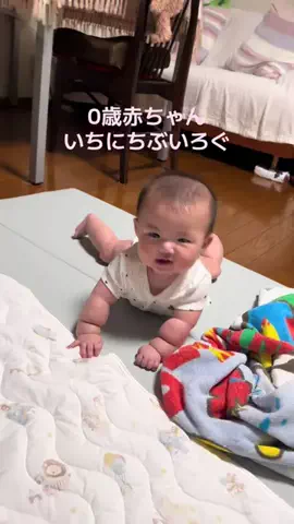 激レアchan👶のTikTok投稿