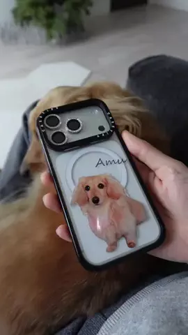 あむ🐶のTikTok投稿