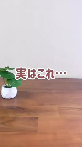iPhoneママのTikTok投稿